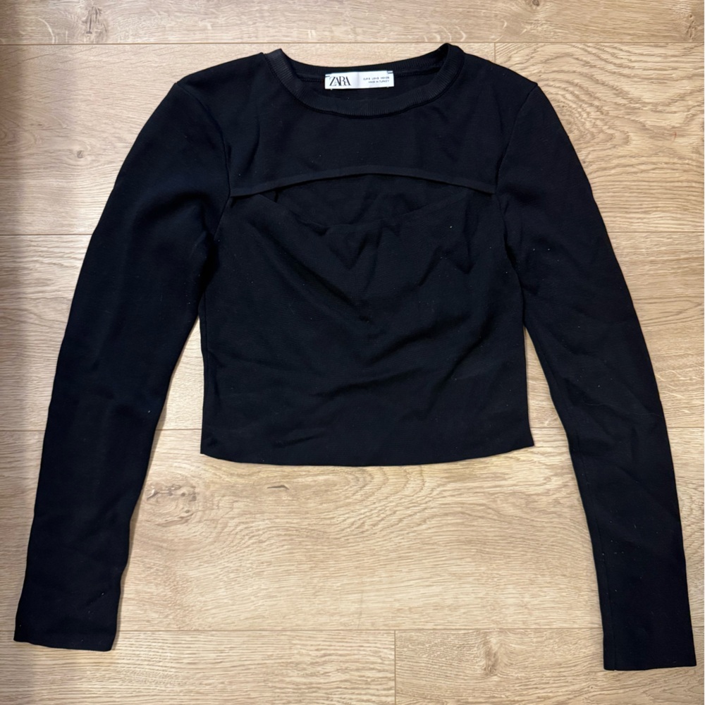 Zara Cutout Crop Top